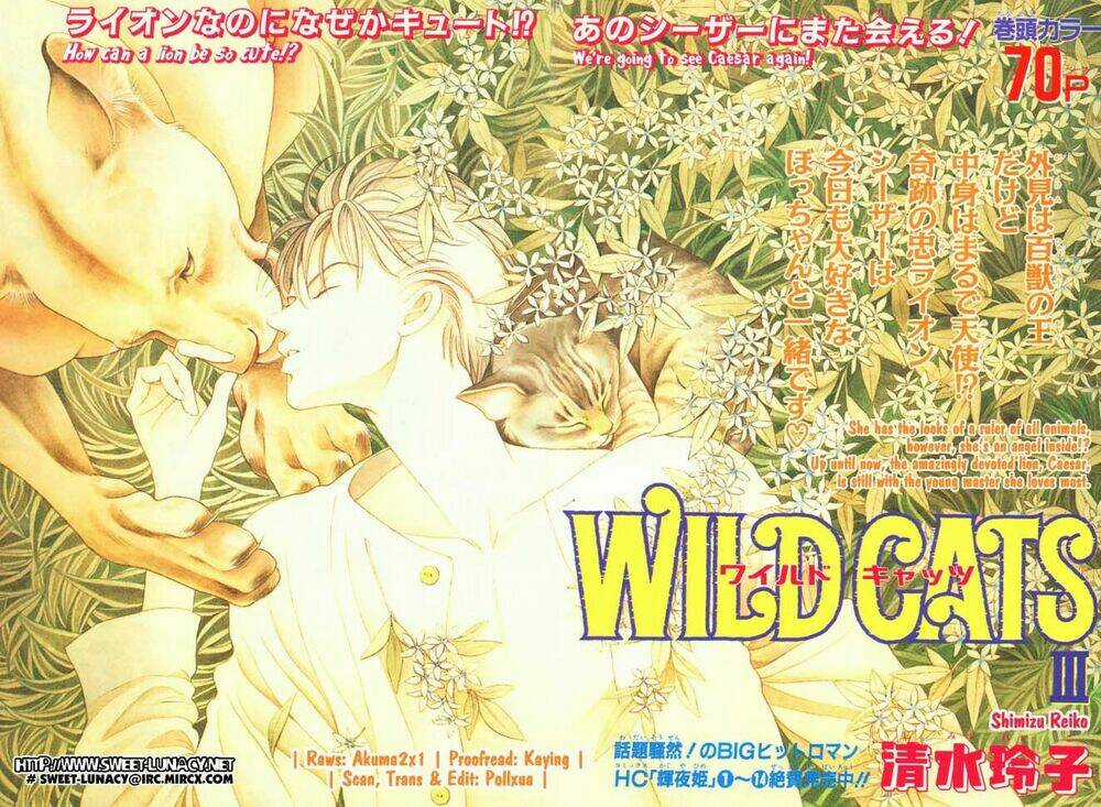 Wild Cats - Chapter 1 - Trang 5