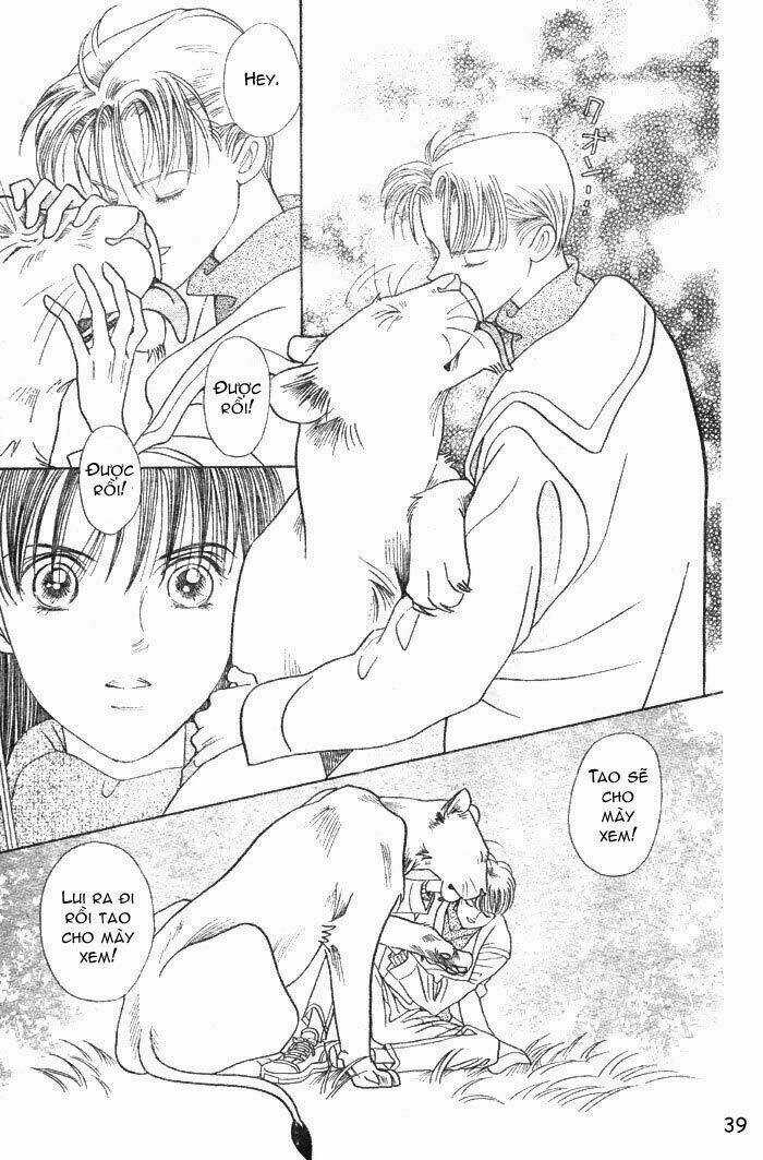 Wild Cats - Chapter 1 - Trang 42