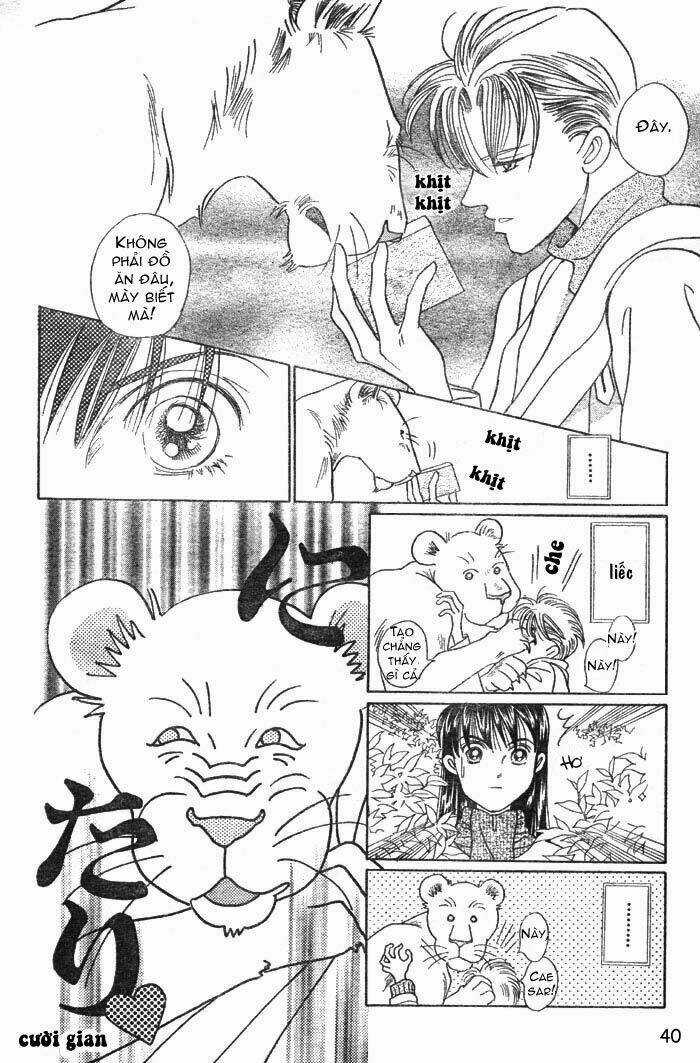 Wild Cats - Chapter 1 - Trang 43