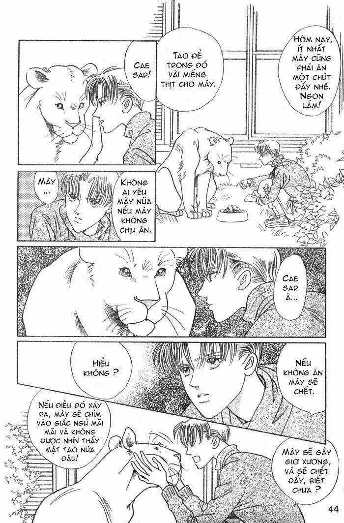 Wild Cats - Chapter 1 - Trang 47