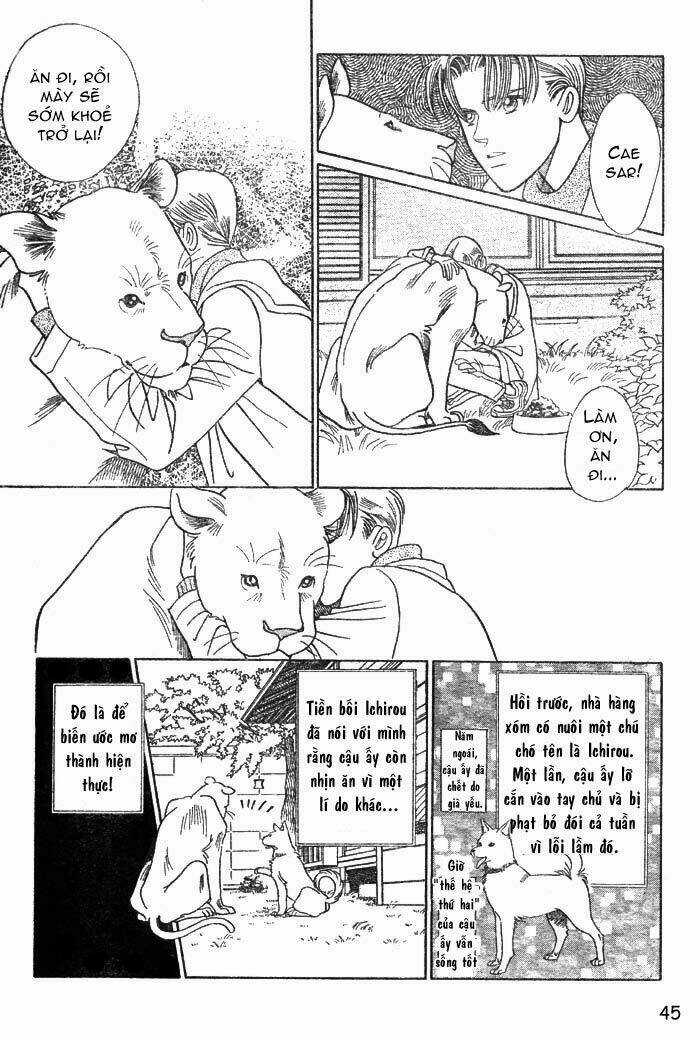 Wild Cats - Chapter 1 - Trang 48