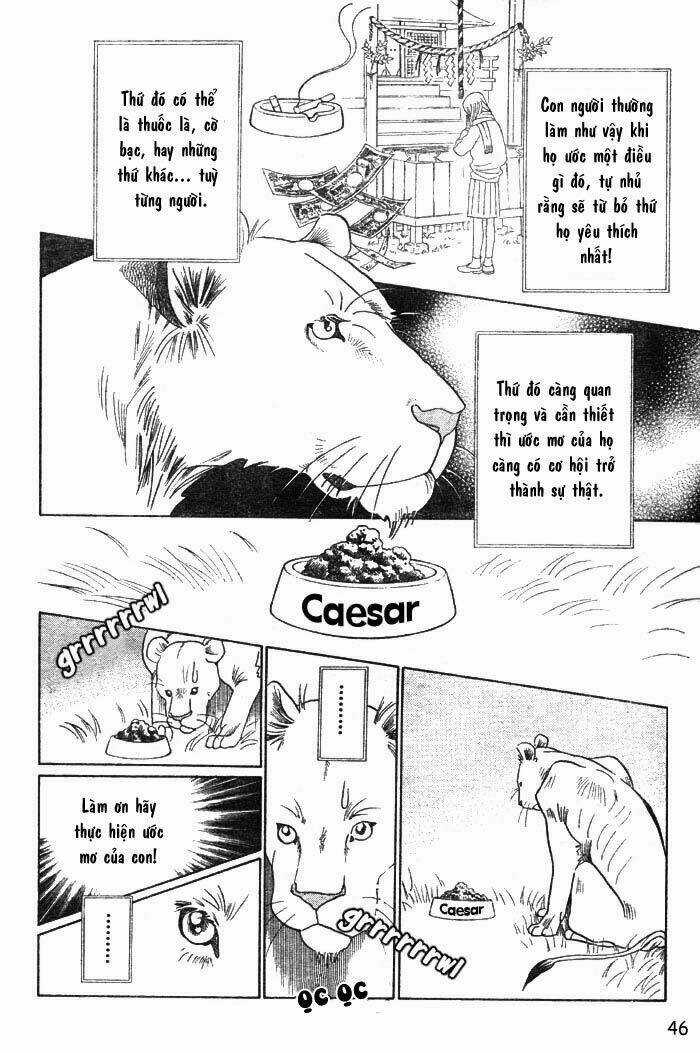Wild Cats - Chapter 1 - Trang 49