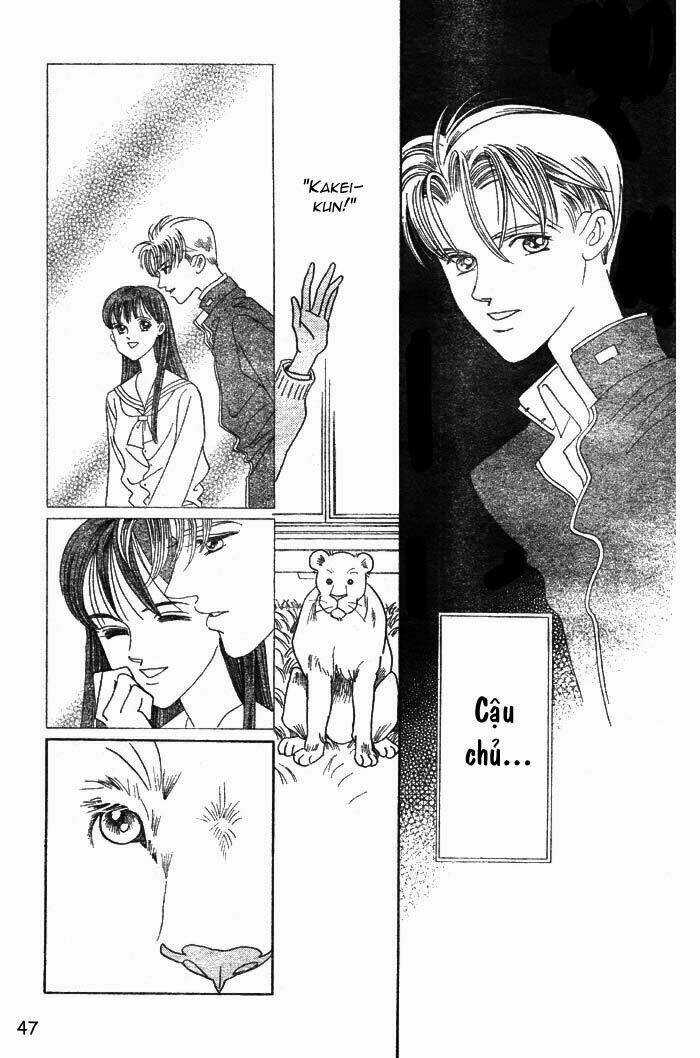 Wild Cats - Chapter 1 - Trang 50