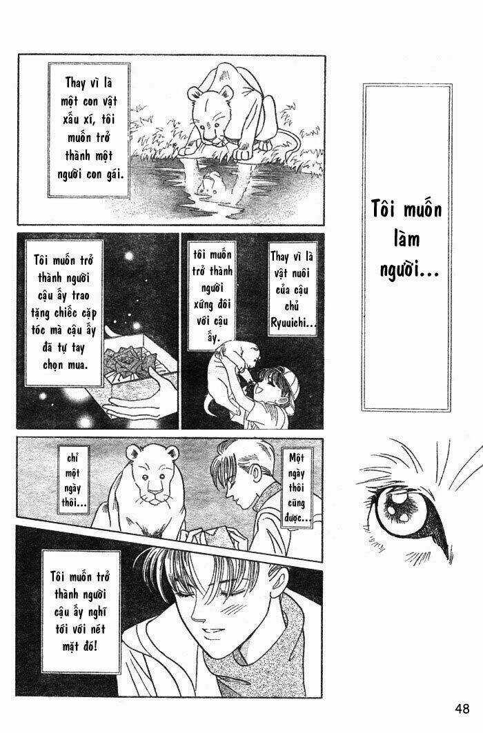 Wild Cats - Chapter 1 - Trang 51