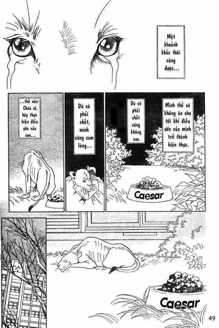 Wild Cats - Chapter 1 - Trang 52