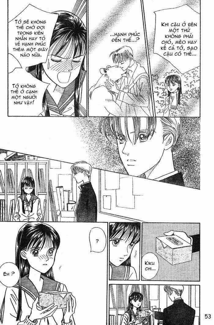 Wild Cats - Chapter 1 - Trang 56