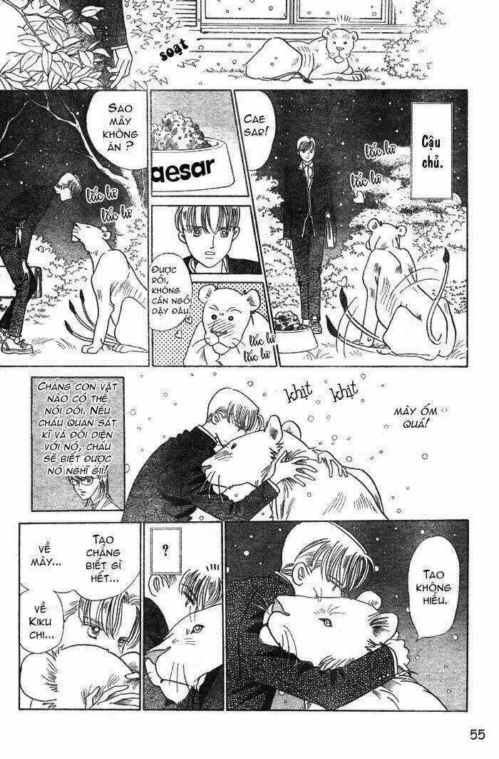 Wild Cats - Chapter 1 - Trang 58