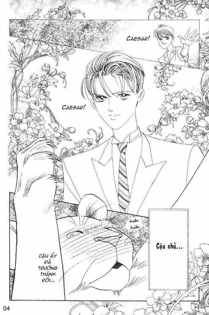 Wild Cats - Chapter 1 - Trang 7