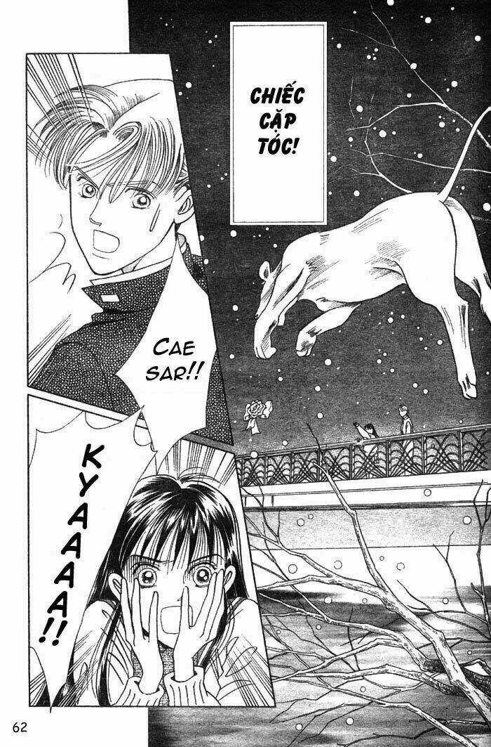 Wild Cats - Chapter 1 - Trang 65