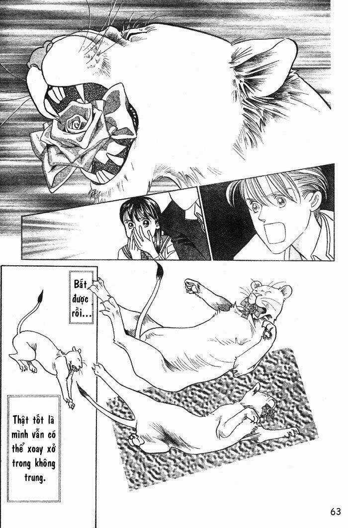 Wild Cats - Chapter 1 - Trang 66