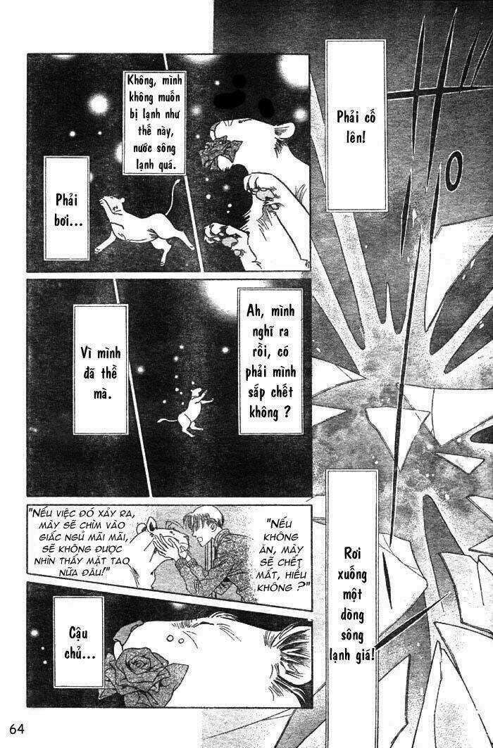 Wild Cats - Chapter 1 - Trang 67