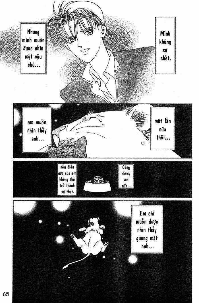 Wild Cats - Chapter 1 - Trang 68