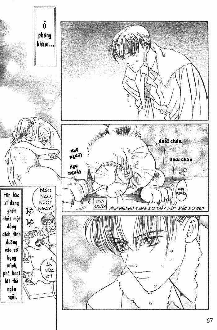 Wild Cats - Chapter 1 - Trang 70