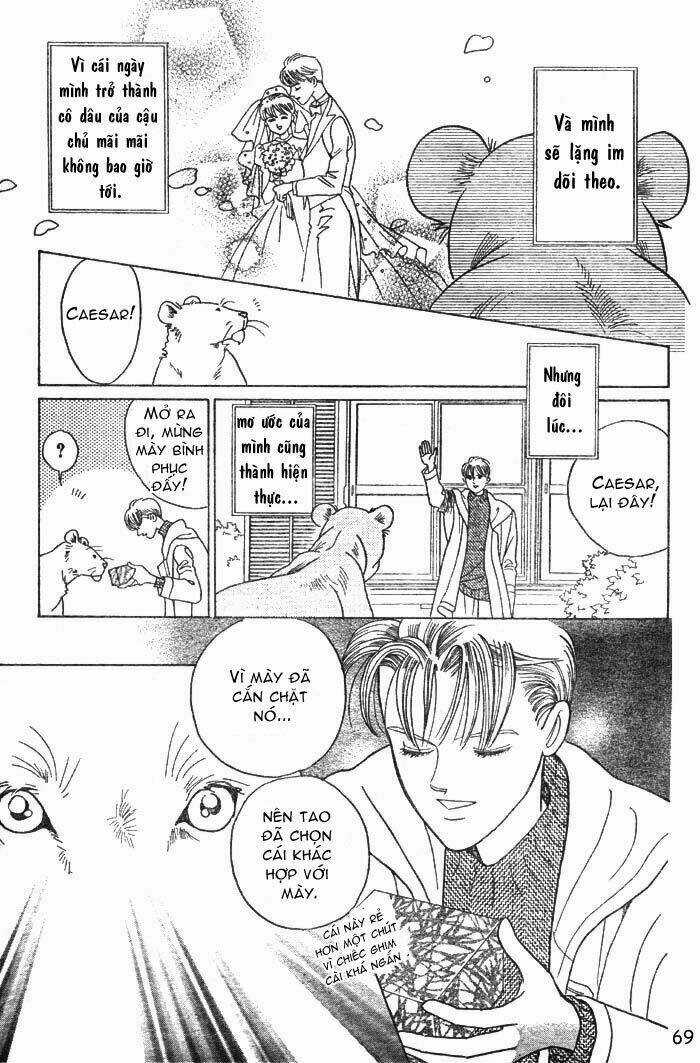 Wild Cats - Chapter 1 - Trang 72