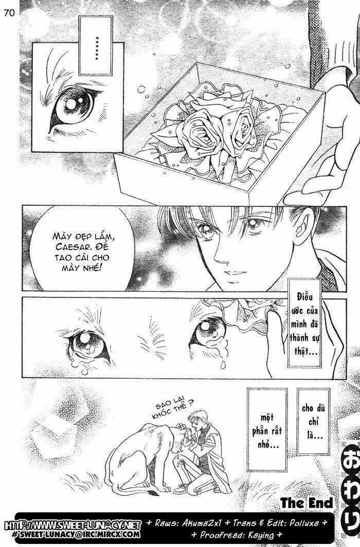 Wild Cats - Chapter 1 - Trang 73