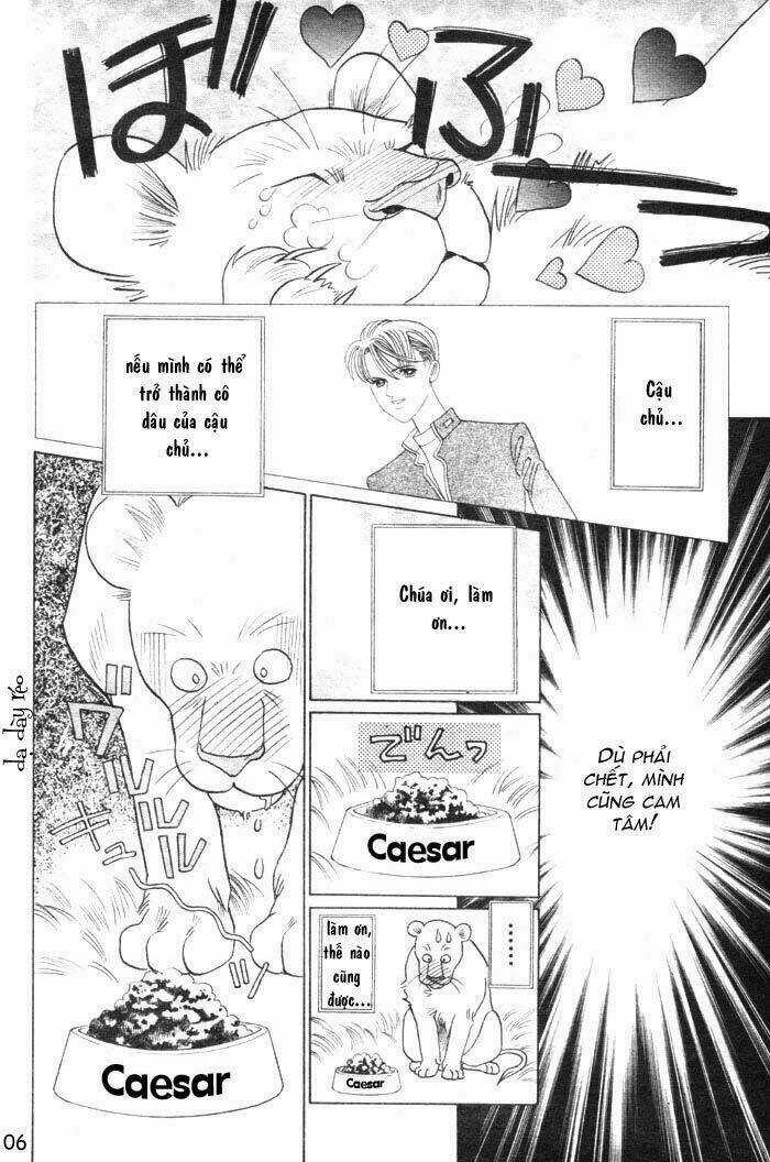 Wild Cats - Chapter 1 - Trang 9