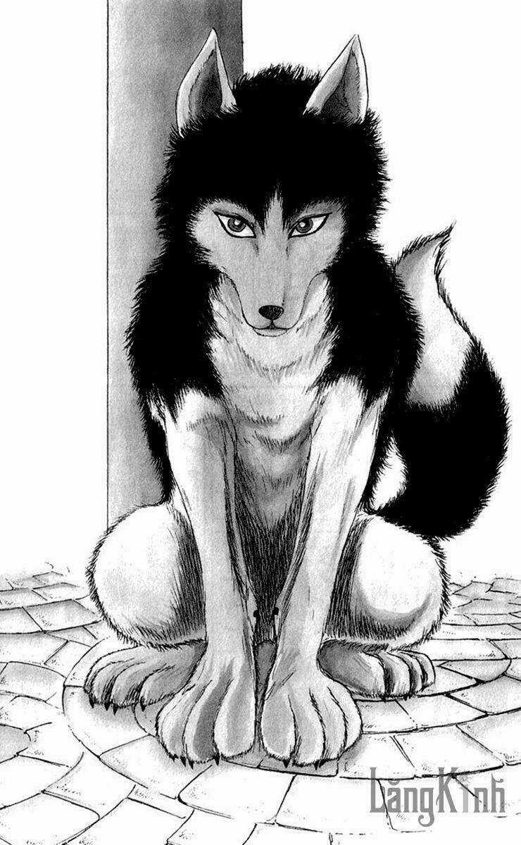 Wild Half - Chapter 1 - Trang 12