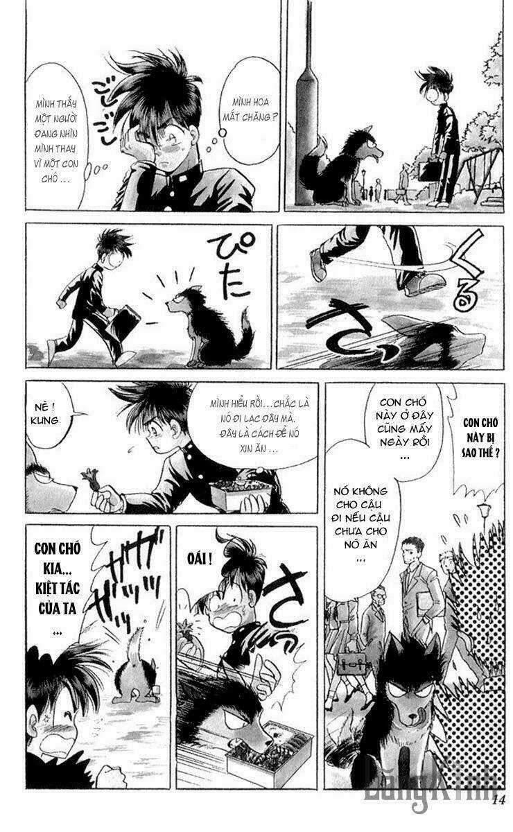 Wild Half - Chapter 1 - Trang 13