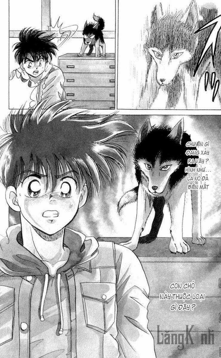 Wild Half - Chapter 1 - Trang 25