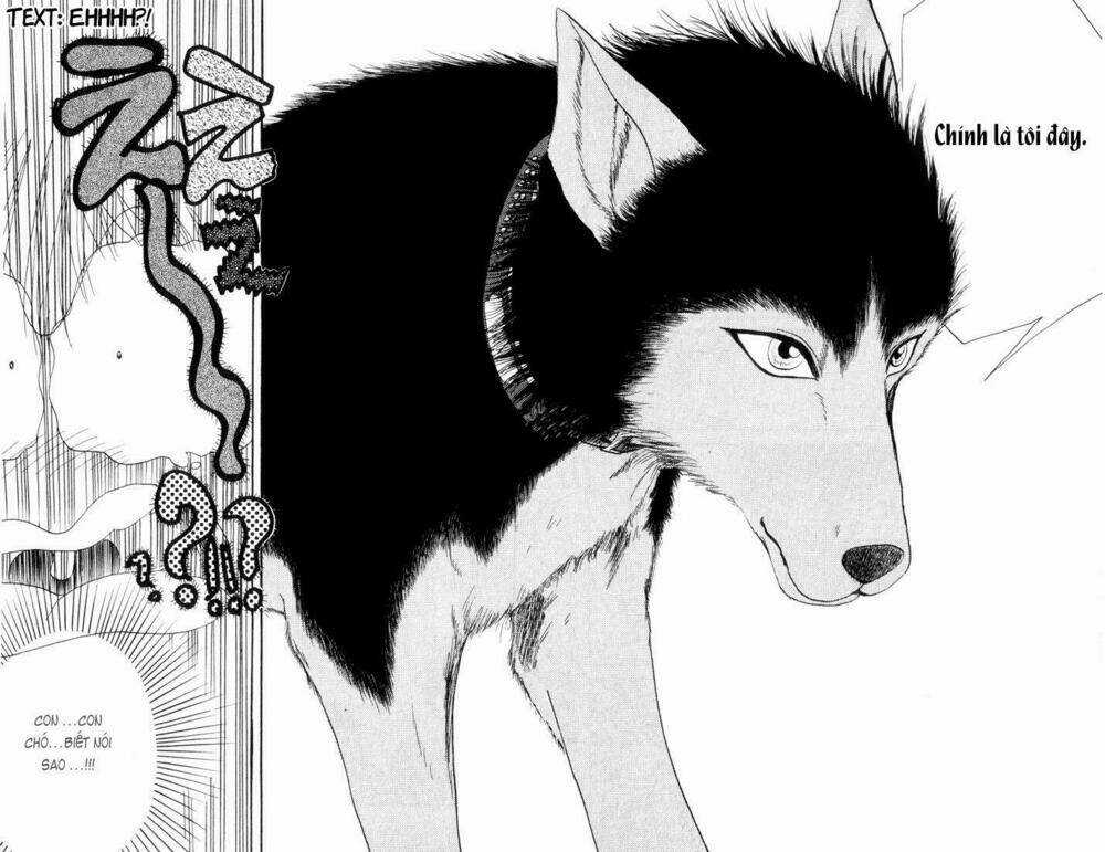 Wild Half - Chapter 1 - Trang 27