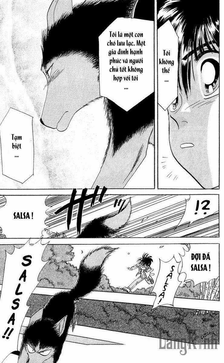 Wild Half - Chapter 1 - Trang 51