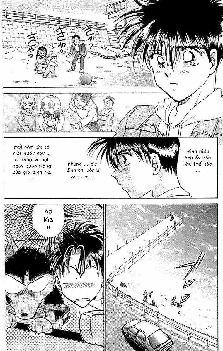 Wild Half - Chapter 11 - Trang 15