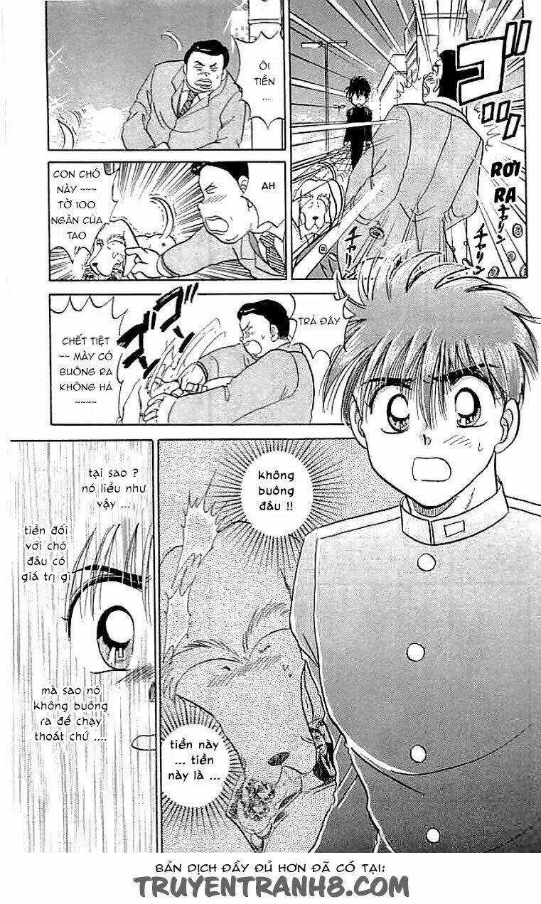 Wild Half - Chapter 12 - Trang 13