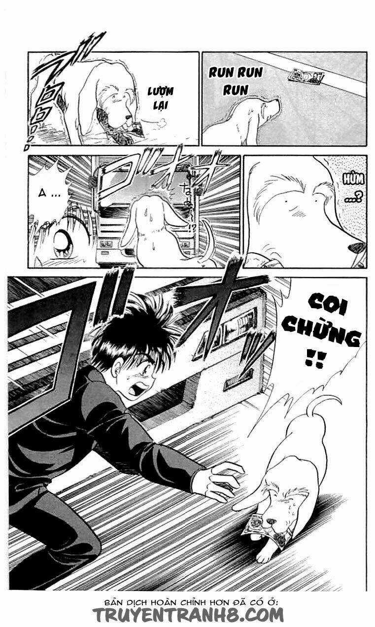 Wild Half - Chapter 12 - Trang 15