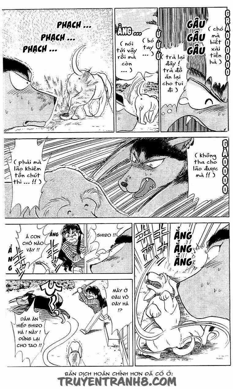 Wild Half - Chapter 12 - Trang 9