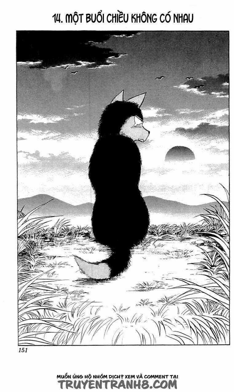 Wild Half - Chapter 14 - Trang 1