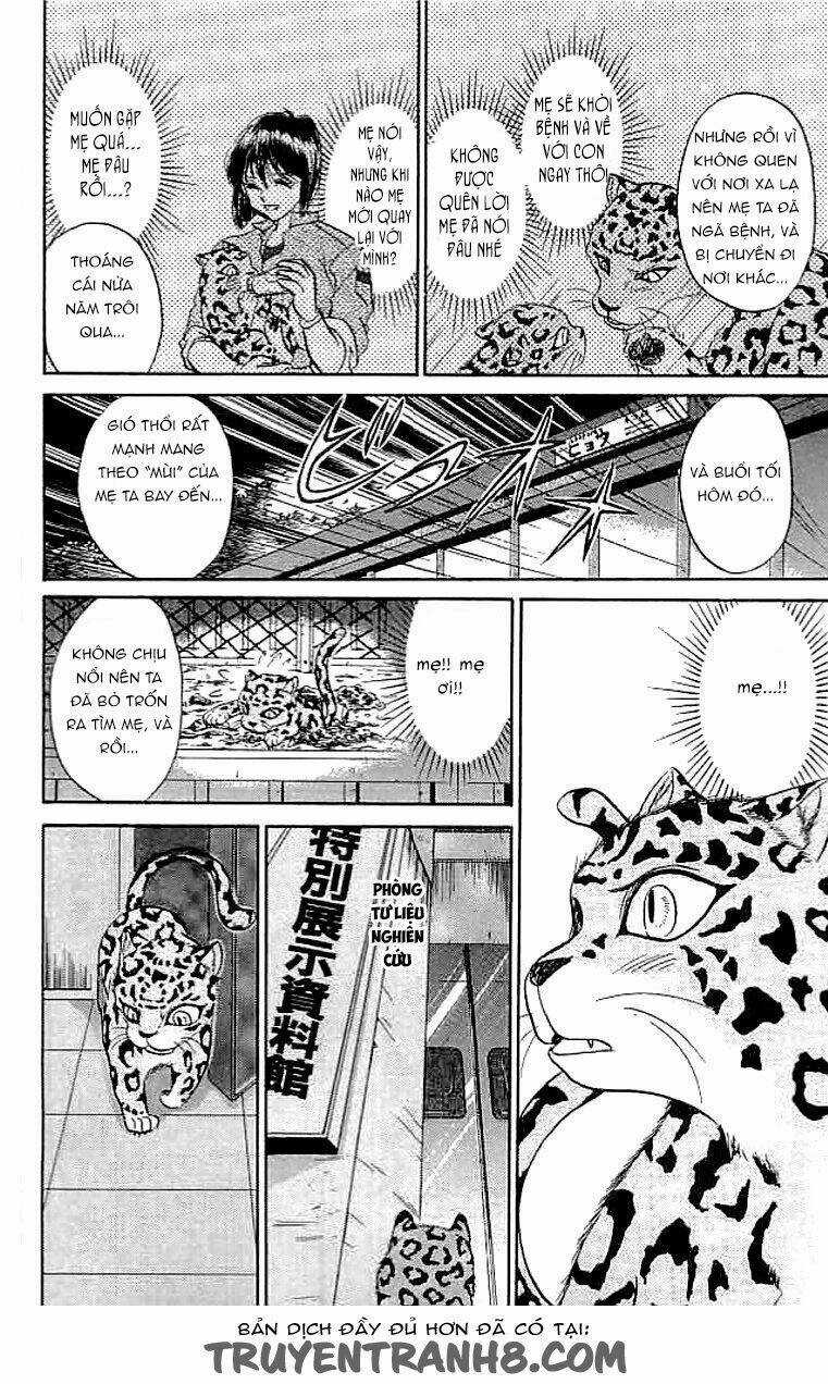 Wild Half - Chapter 16 - Trang 13