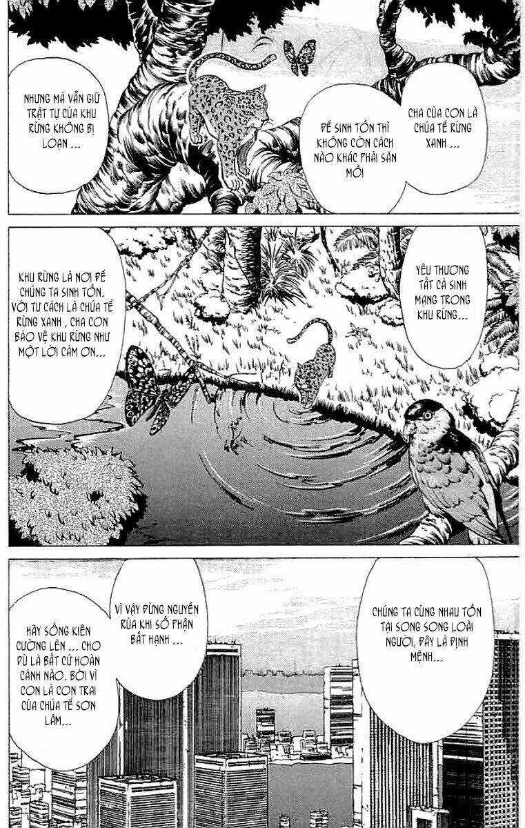 Wild Half - Chapter 19 - Trang 12