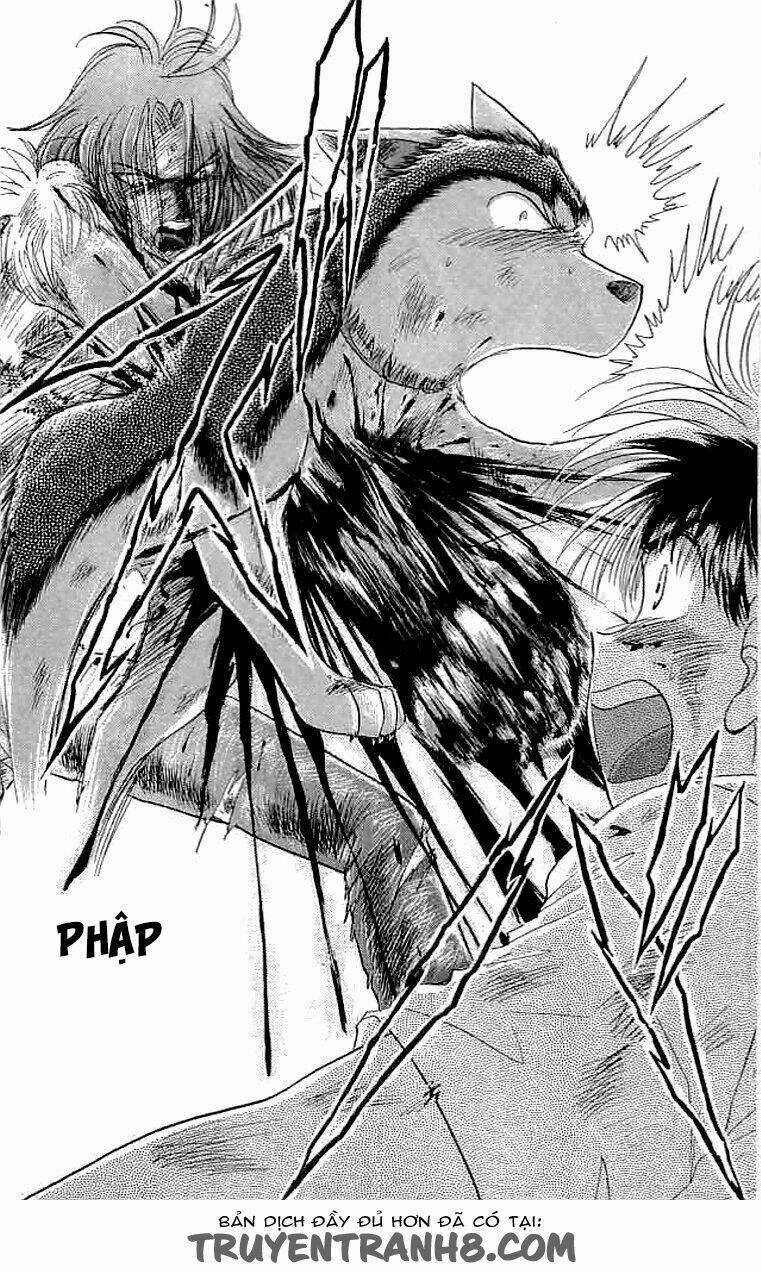 Wild Half - Chapter 24 - Trang 13