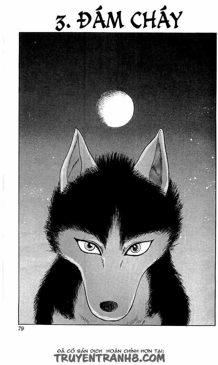 Wild Half - Chapter 3 - Trang 1