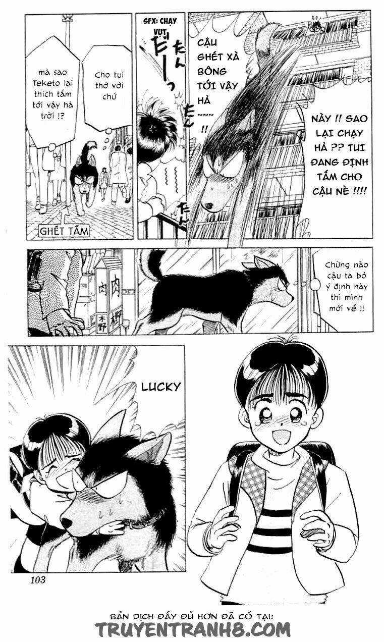 Wild Half - Chapter 4 - Trang 5