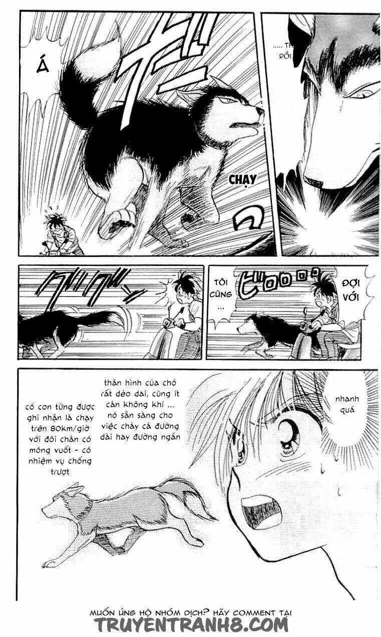 Wild Half - Chapter 6.5 - Trang 12