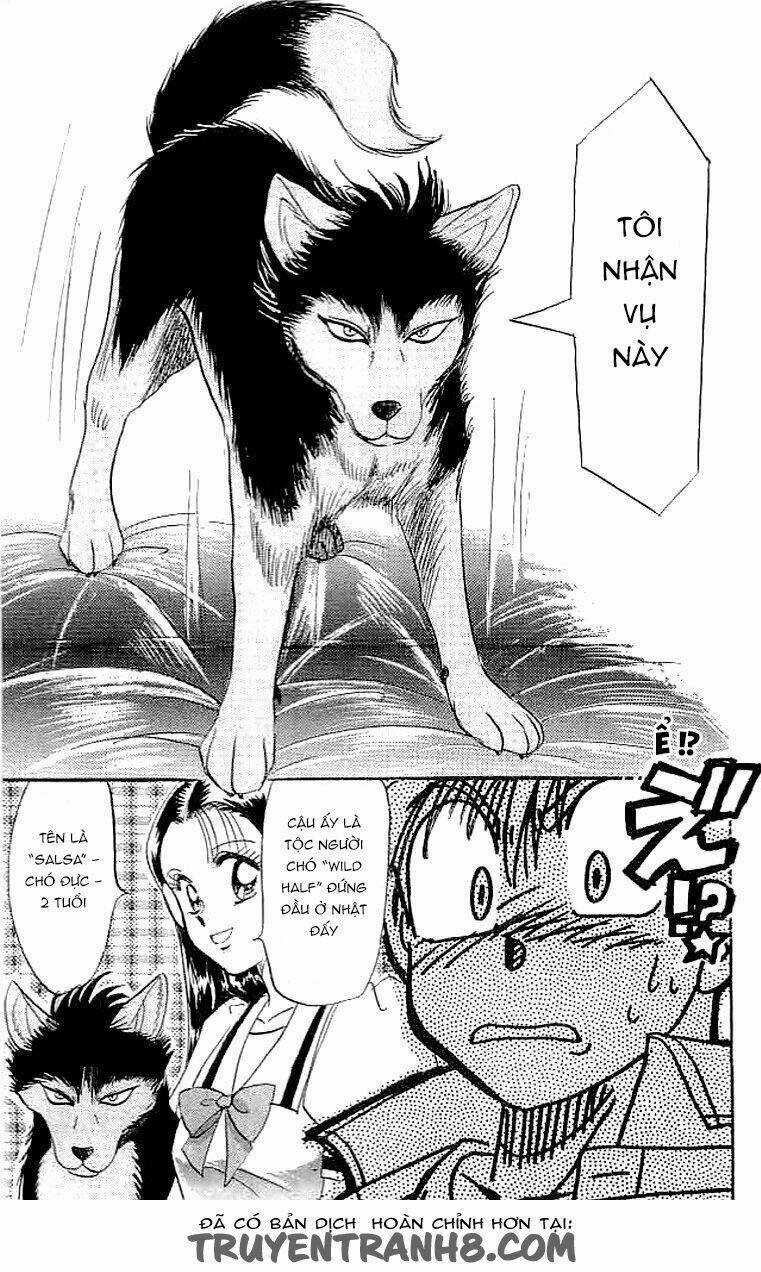 Wild Half - Chapter 6.5 - Trang 7