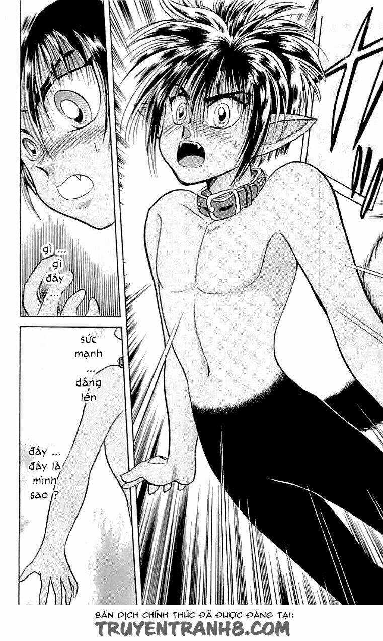 Wild Half - Chapter 6 - Trang 12