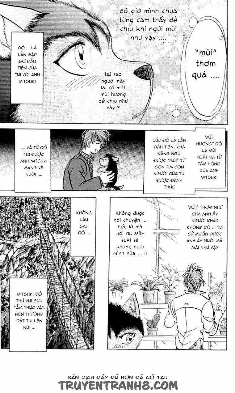 Wild Half - Chapter 6 - Trang 7