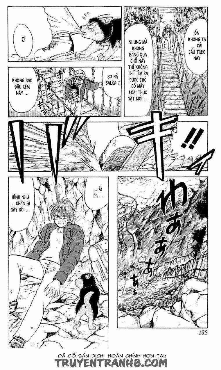 Wild Half - Chapter 6 - Trang 8