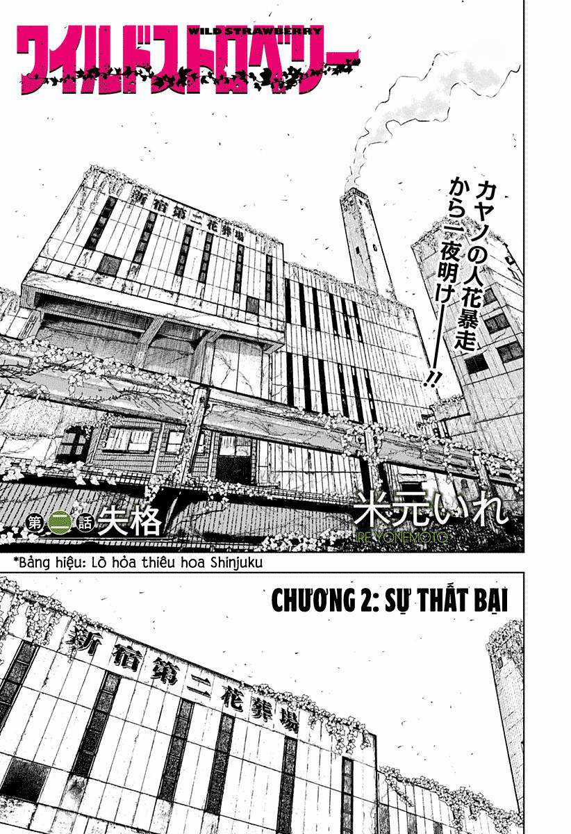 Wild Strawberry (Dpmanga) - Chapter 2 - Trang 1