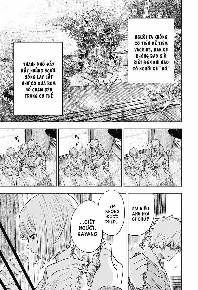 wild strawberry - Chapter 1 - Trang 17