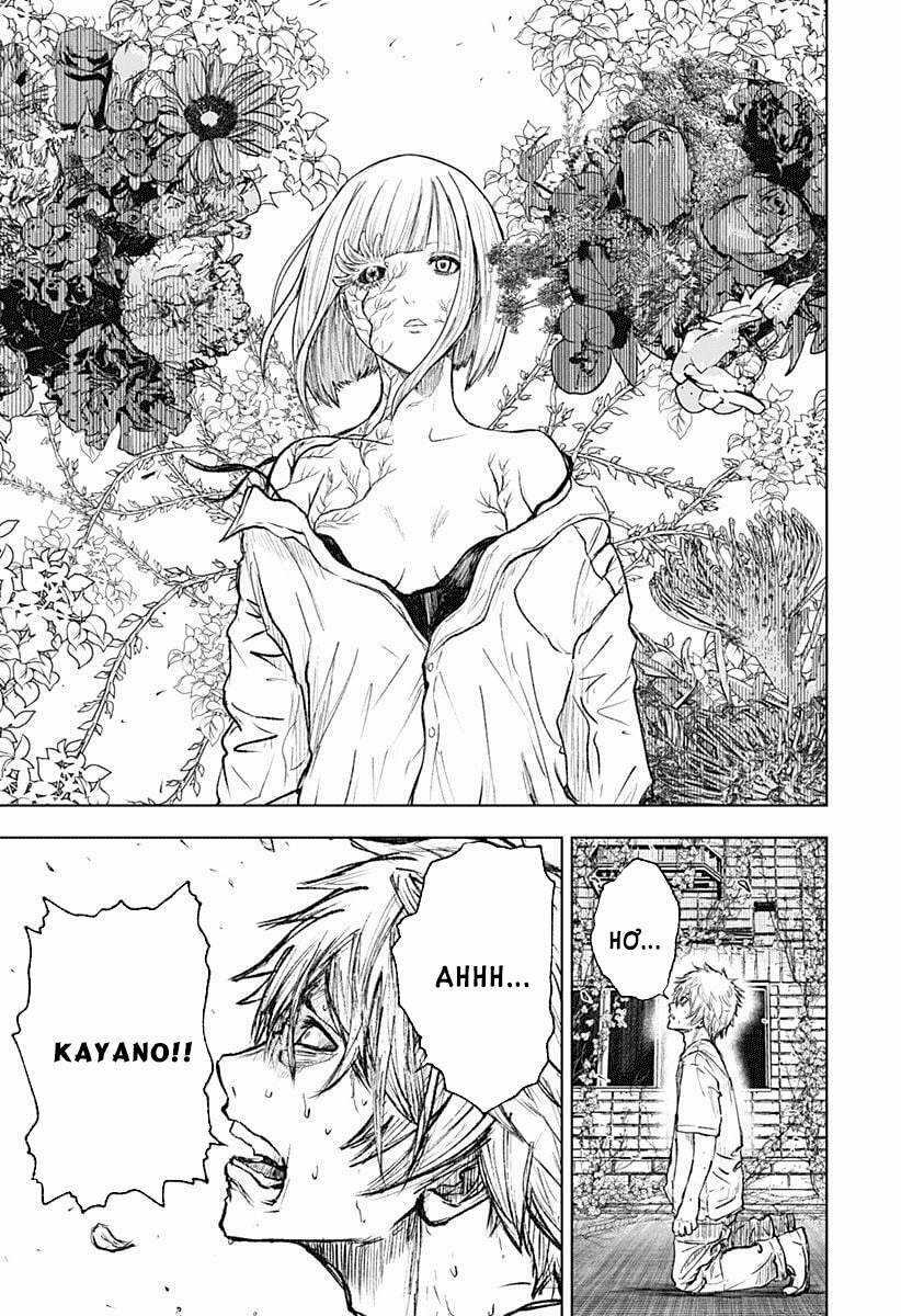 wild strawberry - Chapter 1 - Trang 51