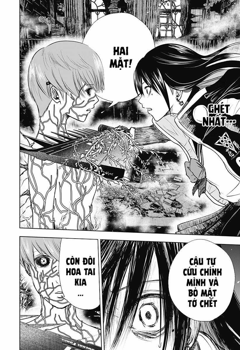 wild strawberry - Chapter 11 - Trang 3