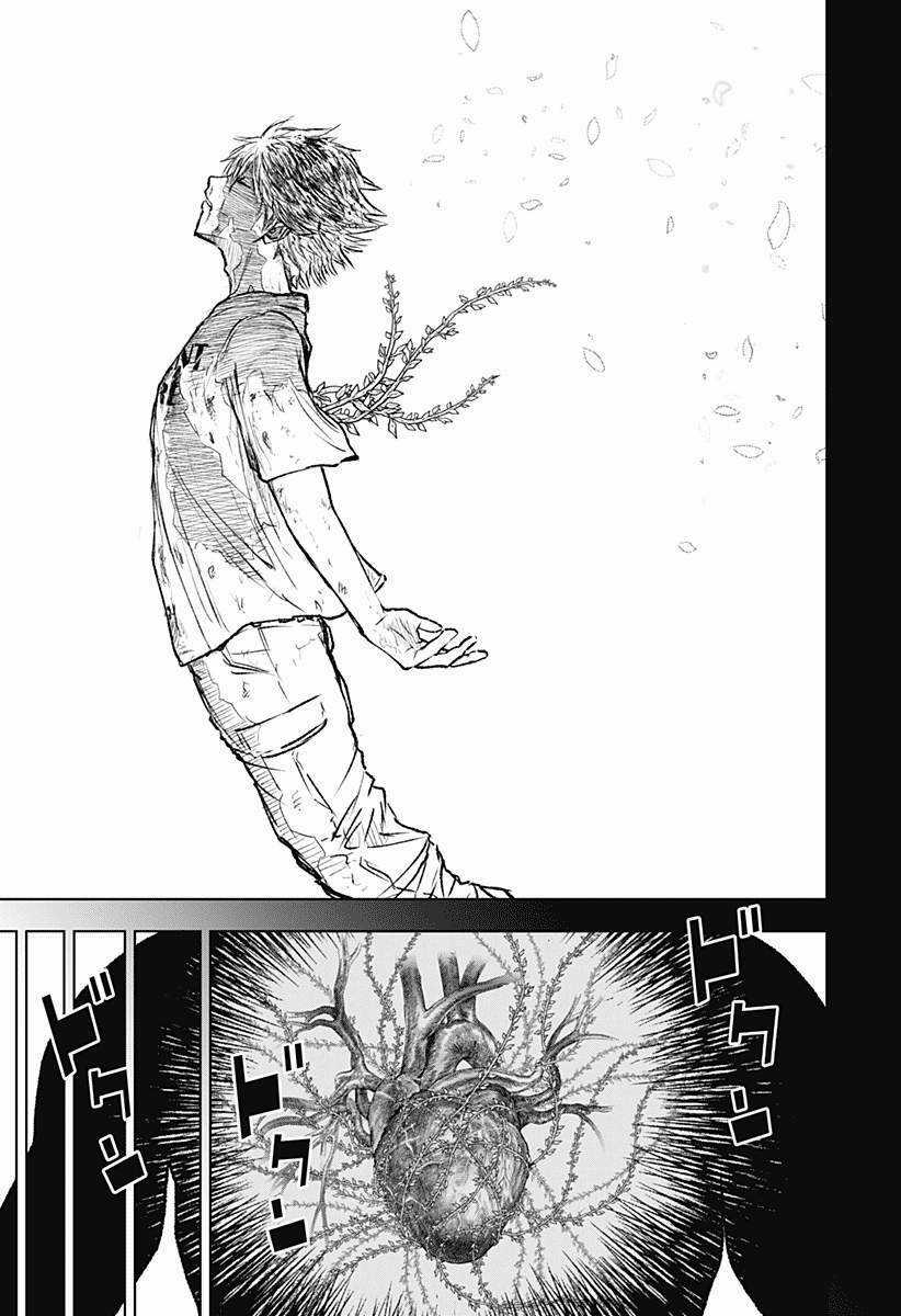 wild strawberry - Chapter 2 - Trang 15