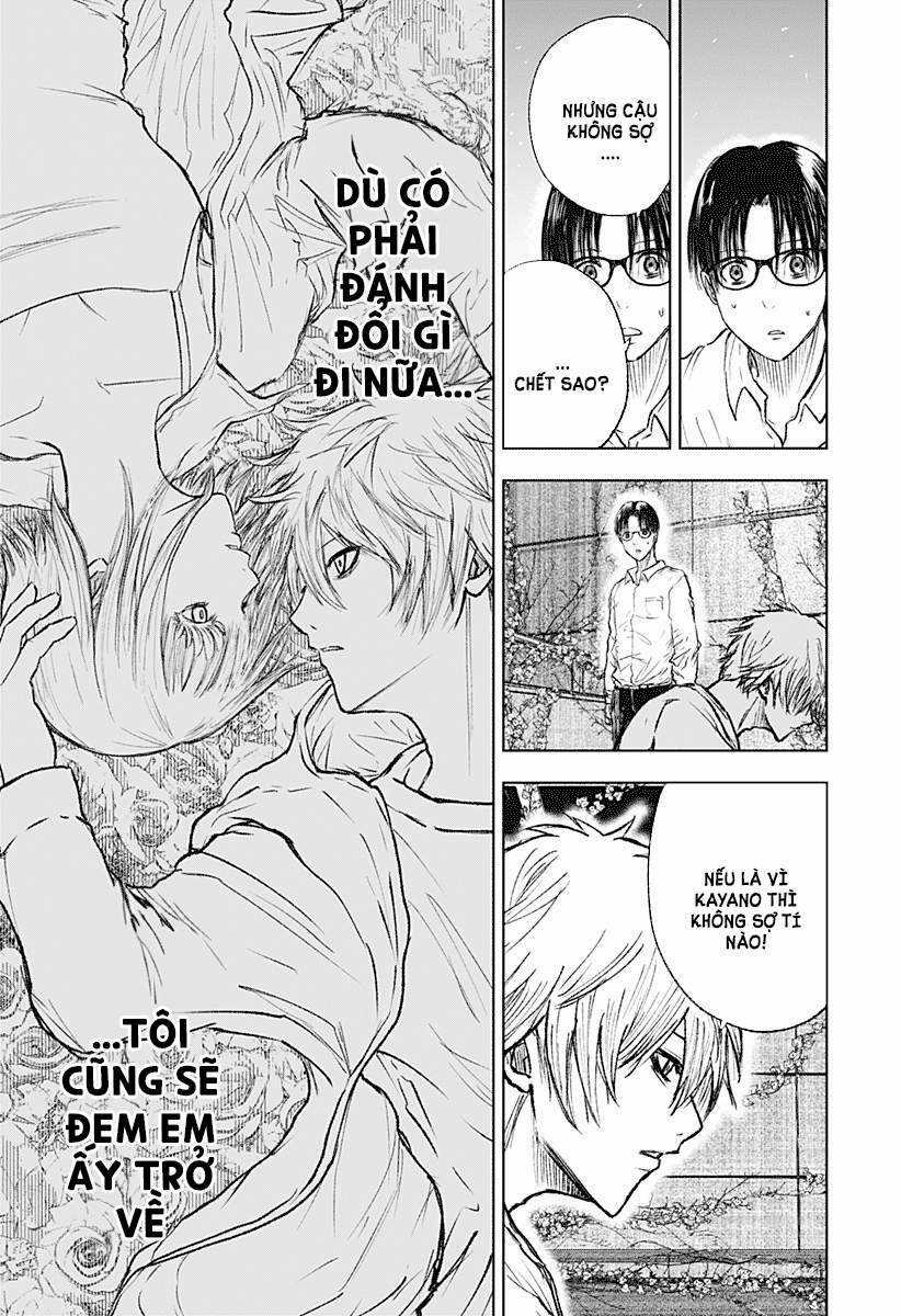 wild strawberry - Chapter 3 - Trang 13