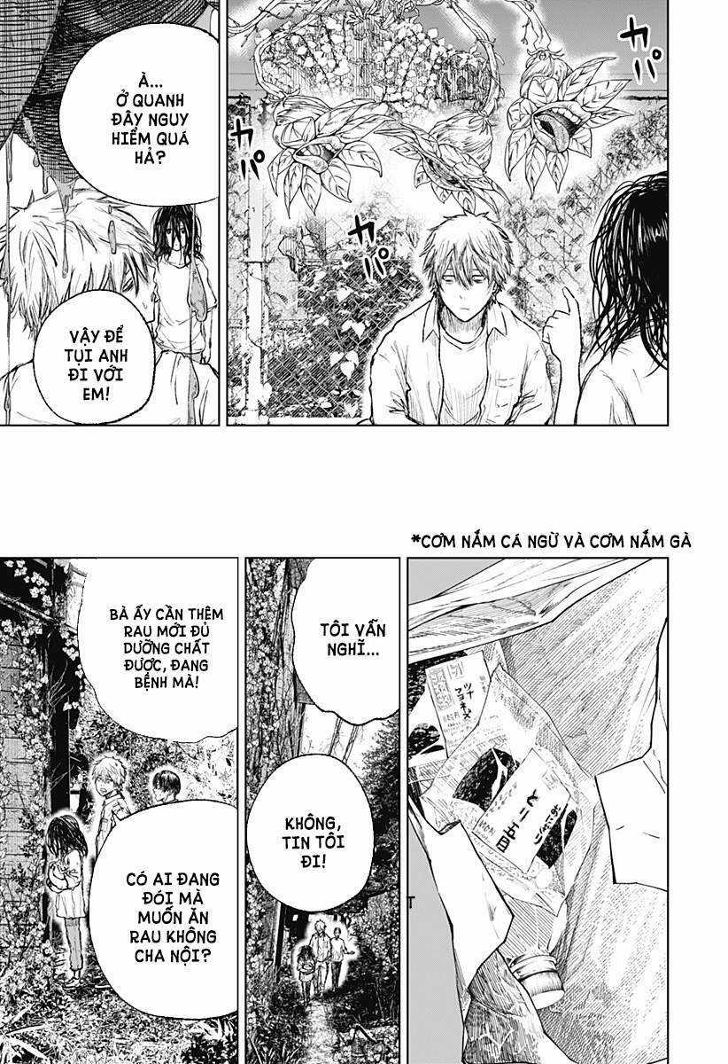 wild strawberry - Chapter 3 - Trang 21