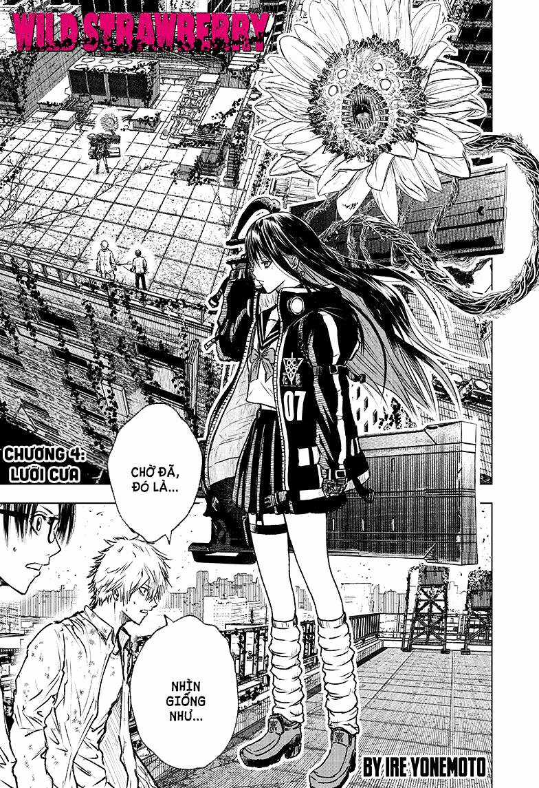wild strawberry - Chapter 4 - Trang 1