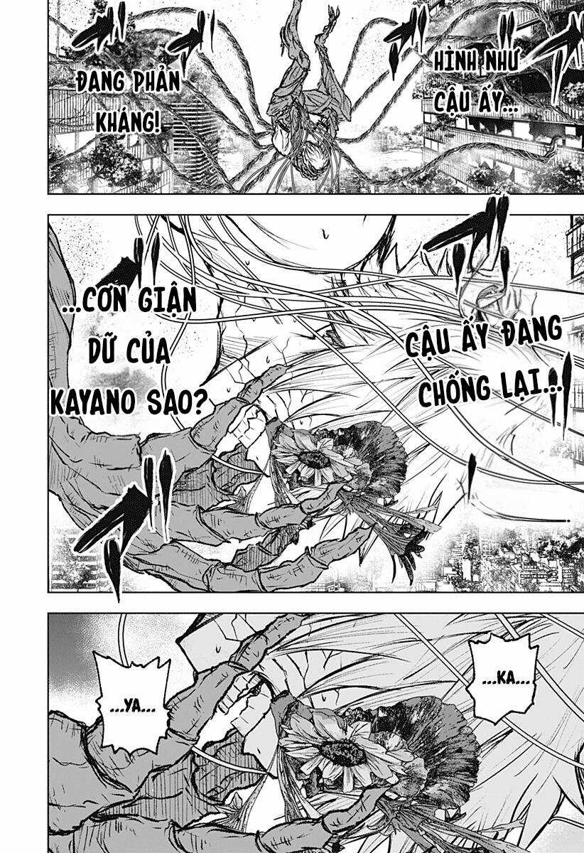 wild strawberry - Chapter 5 - Trang 15