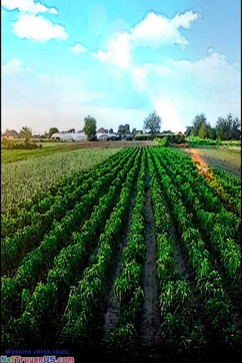 Wind Breaker - Chapter 463.5 - Trang 13